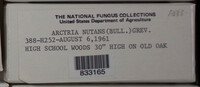 Image Associated With the Occurence